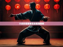 六合彩螳螂拳实战套路图解—以深度解析为主，全面展现传统武术的魅力与独特魅力