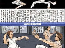 六合一拳招式详解，揭秘现代武术中的独特技巧
