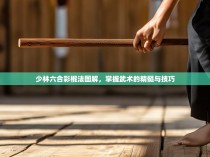 少林六合彩棍法图解，掌握武术的精髓与技巧