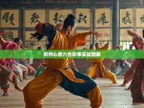 邓州心意六合彩拳实战图解