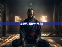 六合彩拳，揭秘拳中节功法