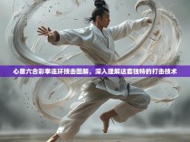 心意六合彩拳连环技击图解,深入理解这套独特的打击技术