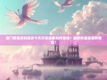 澳门精准资料四肖今天开奖结果如何查询？最新权威渠道有哪些？