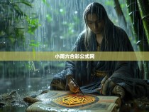 小雨六合彩公式,揭示其独特魅力与魅力所在