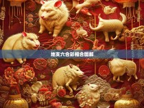 地支六合彩相合图解