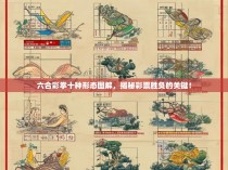 六合彩拳十种形态图解，揭秘彩票胜负的关键！