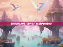 报码是什么意思？报码软件的功能与用途详解