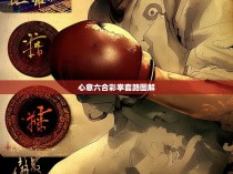 心意六合彩拳套路图解