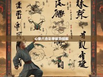 心意六合彩拳破势图解