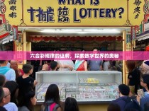 六合彩规律的证明，探索数字世界的奥秘