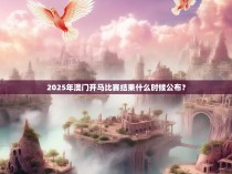 2025年澳门开马比赛结果什么时候公布？