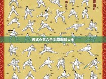 各式心意六合彩拳图解大全