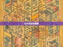 小六合彩针图解，简单易懂的预测技巧与实践经验