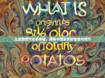 土豆原创六合彩规律，揭秘中国彩民的智慧与技巧