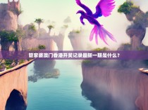 管家婆澳门香港开奖记录最新一期是什么？