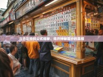 六合彩特码公式揭秘，揭开神秘面纱的真相