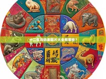 十二生肖码表图片大全有哪些?