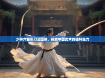 少林六合彩刀法图解，探索中国武术的独特魅力