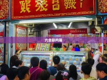 六合彩的神秘面纱，揭秘一种独特的菜公式