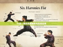 六合一拳的完整解析与实战应用