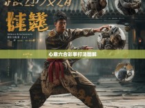 心意六合彩，揭秘拳法图解
