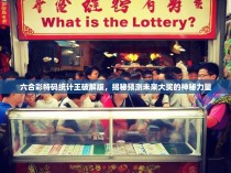六合彩特码统计王破解版，揭秘预测未来大奖的神秘力量