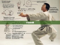 学生六合彩拳套路图解，掌握基本技巧与实战应用