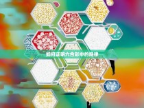 如何证明六合彩中的规律