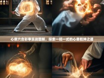 心意六合彩拳实战图解，探索一招一式的心意乾坤之道