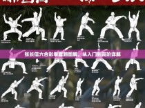 张长信六合彩拳套路图解，从入门到高阶详解