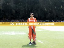 六合一彩规律探索，揭秘博彩界的神秘数字密码