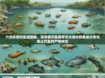 六合彩禁钓区域图解，详尽揭示我国罕见水域中的鱼类分布与禁止钓鱼的严格规定