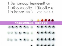 六合彩公式参数大全，揭秘胜负关键