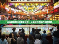 六合彩的拳法与健身秘籍，从基础到进阶的全面指南