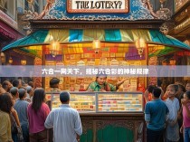 六合一网天下，揭秘六合彩的神秘规律