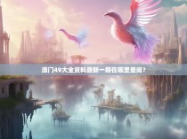 澳门49大全资料最新一期在哪里查询？