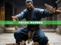 少林六合彩门黑虎拳图解全