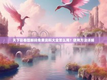 天下彩看图解码免费资料大全怎么用？使用方法详解