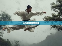 \n在六合彩拳套路中，常见的拳法有以下几种