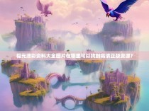 福元澳彩资料大全图片在哪里可以找到高清正版资源？