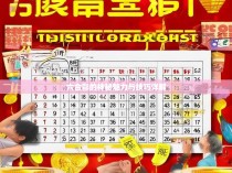 六合彩的神秘魅力与技巧详解