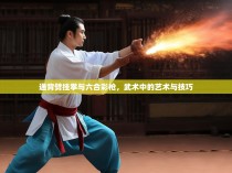 通背劈挂拳与六合彩枪，武术中的艺术与技巧