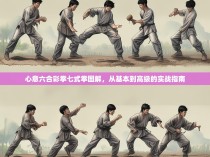 心意六合彩拳七式拳图解,从基本到高级的实战指南