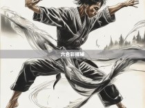 六合彩的神秘魅力与拳拳法图解