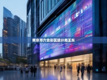 南京市六合彩区统计局,大数据驱动的数字变革与现代化发展