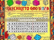 六合彩规律与特色手抄报，探索数字游戏的奥秘