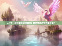 6 1下一期预测号码是哪些？如何查询历史开奖数据？