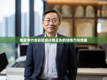 南京市六合彩区统计局王东的领导力与贡献