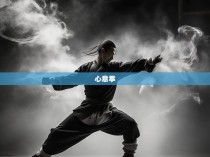 心意拳与六合彩拳的融合实战图解