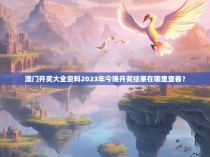 澳门开奖大全资料2023年今晚开奖结果在哪里查看?